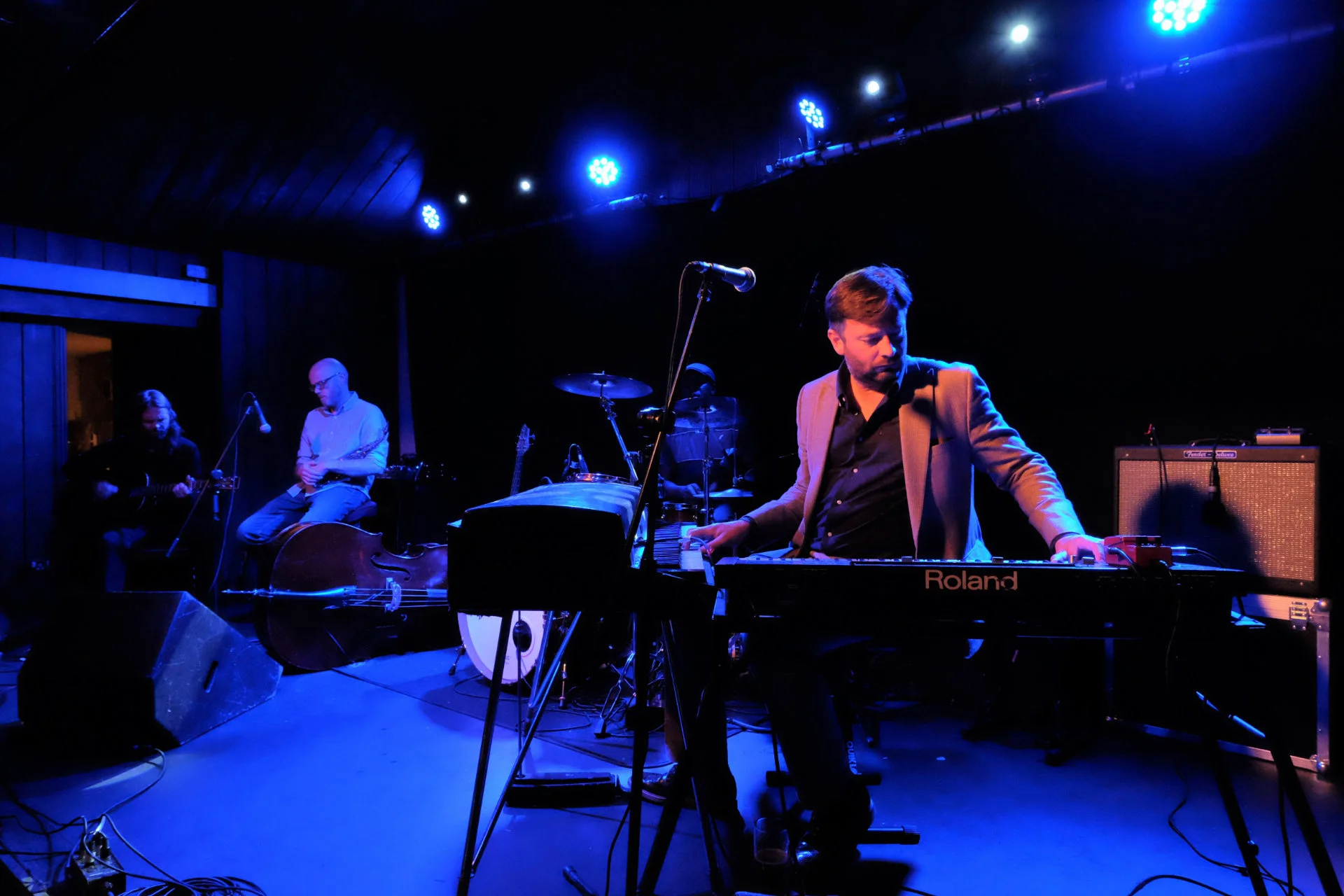 Fringe Gigs